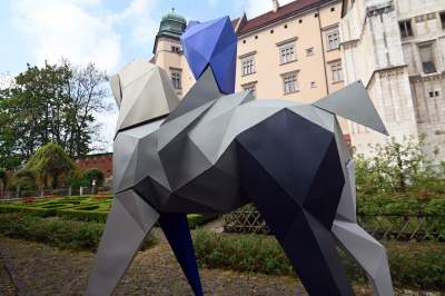 Takie Kontrasty w ogrodach Zamku Królewskiego na Wawelu.  Niedługo znikną... - zdjęcie 15