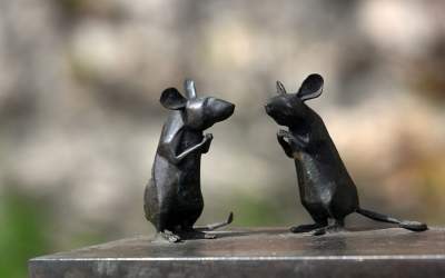 Takie Kontrasty w ogrodach Zamku Królewskiego na Wawelu.  Niedługo znikną... - zdjęcie 23