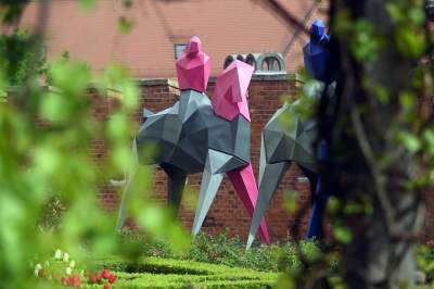 Takie Kontrasty w ogrodach Zamku Królewskiego na Wawelu.  Niedługo znikną... - zdjęcie 11