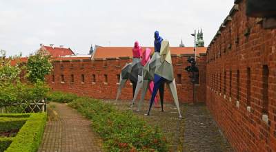 Takie Kontrasty w ogrodach Zamku Królewskiego na Wawelu.  Niedługo znikną... - zdjęcie 13