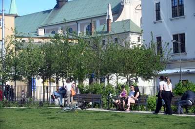 Park Szymborskiej utonął w białych i czarnych tulipanach - zdjęcie 8