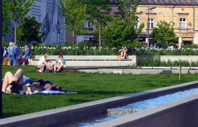 Park Szymborskiej utonął w białych i czarnych tulipanach - zdjęcie 34