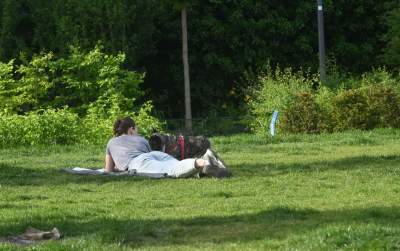 Park Szymborskiej utonął w białych i czarnych tulipanach - zdjęcie 32