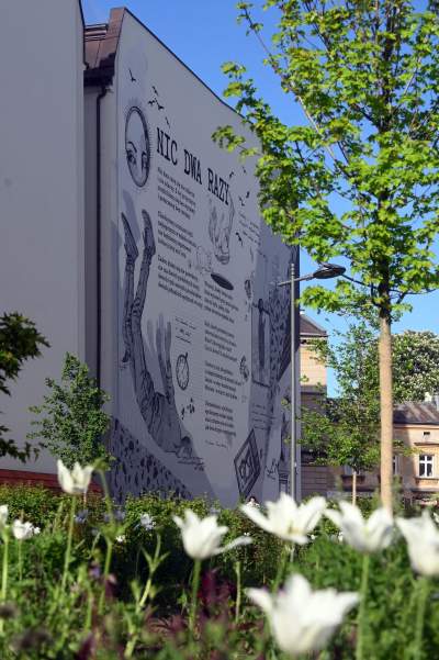 Park Szymborskiej utonął w białych i czarnych tulipanach - zdjęcie 20