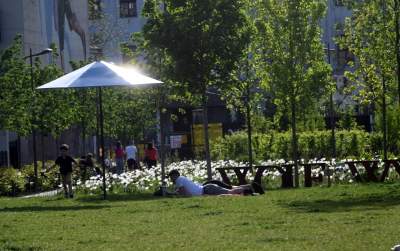 Park Szymborskiej utonął w białych i czarnych tulipanach - zdjęcie 16