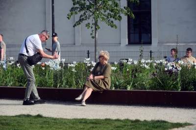 Park Szymborskiej utonął w białych i czarnych tulipanach - zdjęcie 13