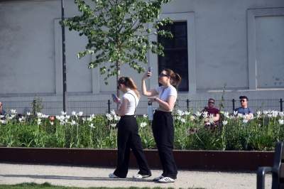 Park Szymborskiej utonął w białych i czarnych tulipanach - zdjęcie 7