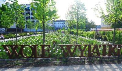 Park Szymborskiej utonął w białych i czarnych tulipanach - zdjęcie 23