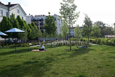 Park Szymborskiej utonął w białych i czarnych tulipanach - zdjęcie 22