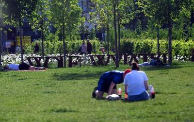 Park Szymborskiej utonął w białych i czarnych tulipanach - zdjęcie 19