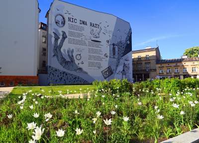 Park Szymborskiej utonął w białych i czarnych tulipanach - zdjęcie 40