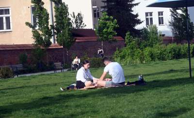 Park Szymborskiej utonął w białych i czarnych tulipanach - zdjęcie 31