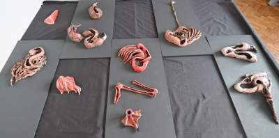 Wystawa "HopeFull" Marii Husarskiej w Arsene Galeria Wiatrak - zdjęcie 11