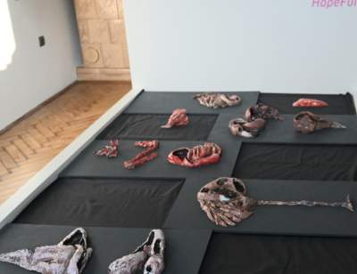 Wystawa "HopeFull" Marii Husarskiej w Arsene Galeria Wiatrak - zdjęcie 5