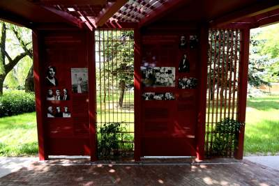 Cudowny ogród w centrum Krakowa, tu kobiety są najważniejsze - zdjęcie 24