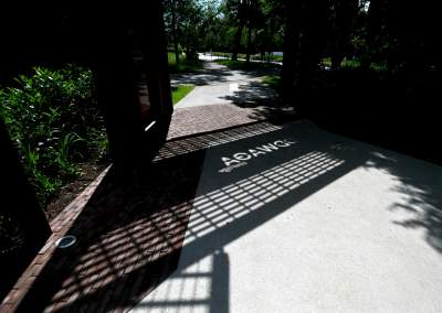 Cudowny ogród w centrum Krakowa, tu kobiety są najważniejsze - zdjęcie 23