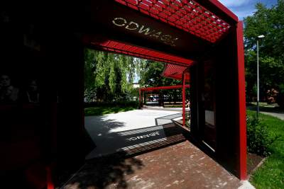 Cudowny ogród w centrum Krakowa, tu kobiety są najważniejsze - zdjęcie 4