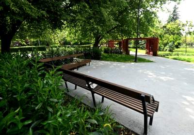 Cudowny ogród w centrum Krakowa, tu kobiety są najważniejsze - zdjęcie 1