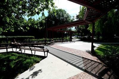 Cudowny ogród w centrum Krakowa, tu kobiety są najważniejsze - zdjęcie 22