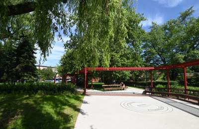 Cudowny ogród w centrum Krakowa, tu kobiety są najważniejsze - zdjęcie 9