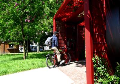 Cudowny ogród w centrum Krakowa, tu kobiety są najważniejsze - zdjęcie 28