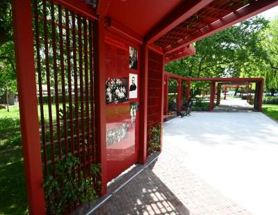 Cudowny ogród w centrum Krakowa, tu kobiety są najważniejsze - zdjęcie 11