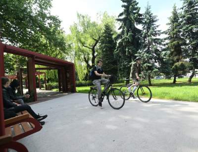 Cudowny ogród w centrum Krakowa, tu kobiety są najważniejsze - zdjęcie 3