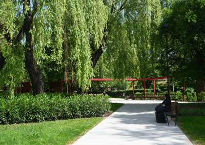 Cudowny ogród w centrum Krakowa, tu kobiety są najważniejsze - zdjęcie 12