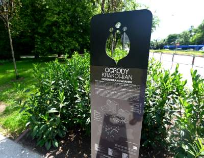 Cudowny ogród w centrum Krakowa, tu kobiety są najważniejsze - zdjęcie 25