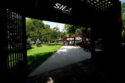 Cudowny ogród w centrum Krakowa, tu kobiety są najważniejsze - zdjęcie 20