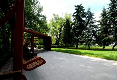 Cudowny ogród w centrum Krakowa, tu kobiety są najważniejsze - zdjęcie 17