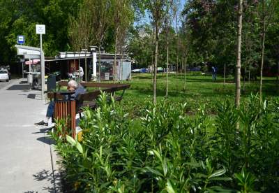 Cudowny ogród w centrum Krakowa, tu kobiety są najważniejsze - zdjęcie 30