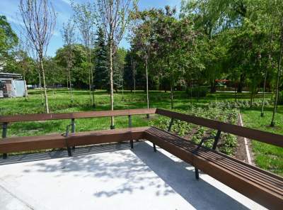 Cudowny ogród w centrum Krakowa, tu kobiety są najważniejsze - zdjęcie 21