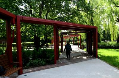 Cudowny ogród w centrum Krakowa, tu kobiety są najważniejsze - zdjęcie 27