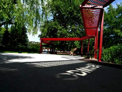 Cudowny ogród w centrum Krakowa, tu kobiety są najważniejsze - zdjęcie 29