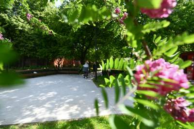 Cudowny ogród w centrum Krakowa, tu kobiety są najważniejsze - zdjęcie 14