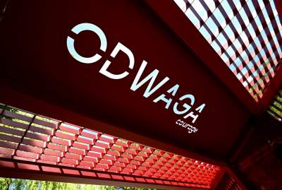 Cudowny ogród w centrum Krakowa, tu kobiety są najważniejsze - zdjęcie 18