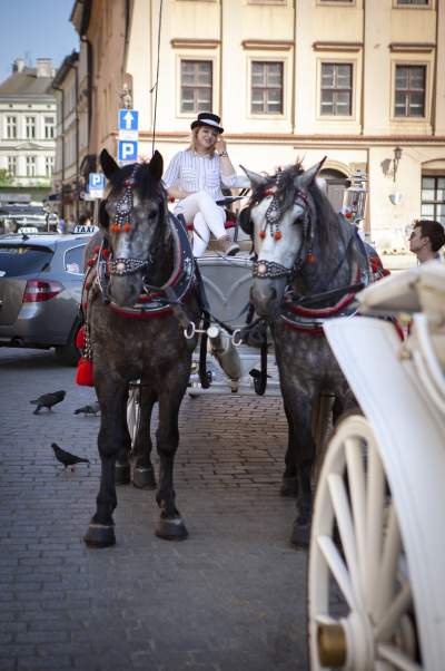 Upał w mieście: tylko koni, tylko koni żal... - zdjęcie 4