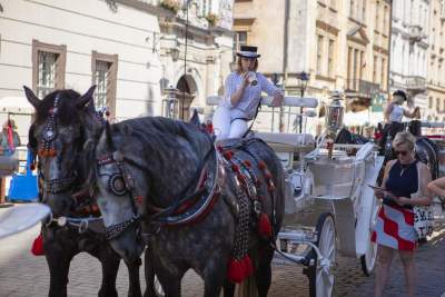 Upał w mieście: tylko koni, tylko koni żal... - zdjęcie 1