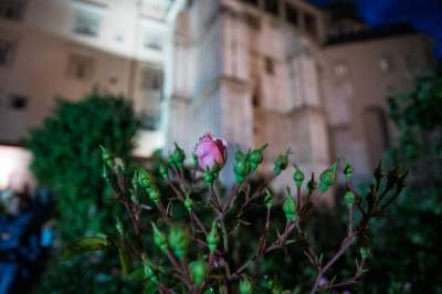 Rewelacyjna Noc Muzeów, krakowianie i goście lubią takie zwiedzanie - zdjęcie 20