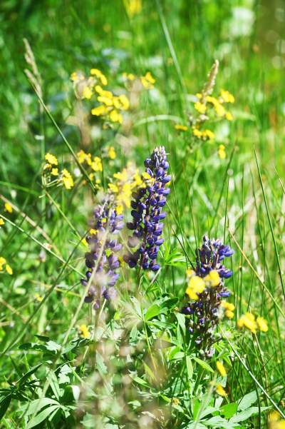 Cudowny park rzeczny w Krakowie. Krakowianie już pokochali to miejsce - zdjęcie 32