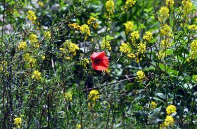 Cudowny park rzeczny w Krakowie. Krakowianie już pokochali to miejsce - zdjęcie 42