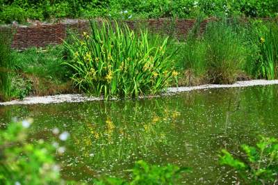 Cudowny park rzeczny w Krakowie. Krakowianie już pokochali to miejsce - zdjęcie 23