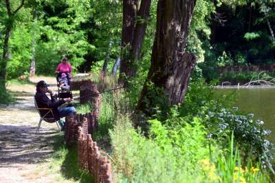 Cudowny park rzeczny w Krakowie. Krakowianie już pokochali to miejsce - zdjęcie 25