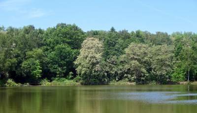 Cudowny park rzeczny w Krakowie. Krakowianie już pokochali to miejsce - zdjęcie 14