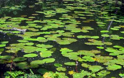 Cudowny park rzeczny w Krakowie. Krakowianie już pokochali to miejsce - zdjęcie 31