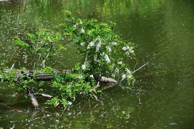 Cudowny park rzeczny w Krakowie. Krakowianie już pokochali to miejsce - zdjęcie 24