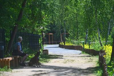 Cudowny park rzeczny w Krakowie. Krakowianie już pokochali to miejsce - zdjęcie 36