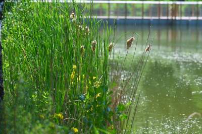 Cudowny park rzeczny w Krakowie. Krakowianie już pokochali to miejsce - zdjęcie 35