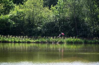 Cudowny park rzeczny w Krakowie. Krakowianie już pokochali to miejsce - zdjęcie 37